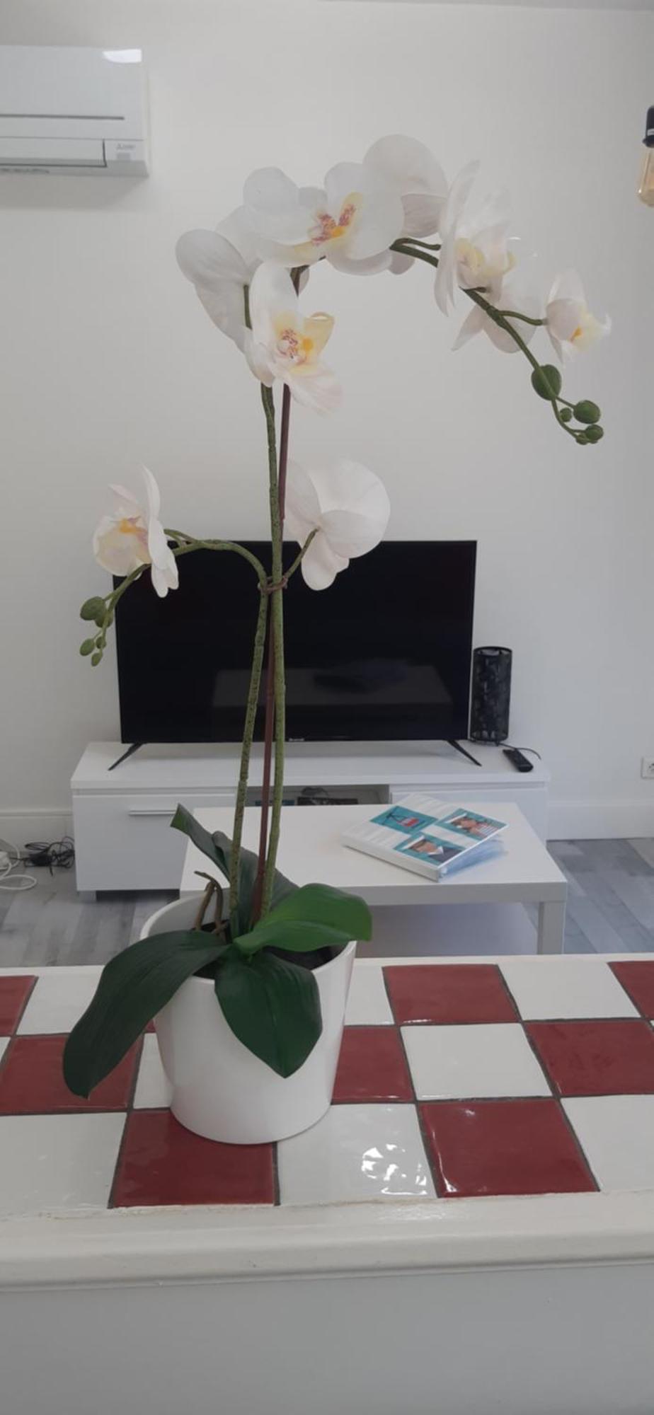 Logement Le Serein ツーロン エクステリア 写真